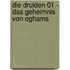 Die Druiden 01 - Das Geheimnis von Oghams