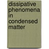 Dissipative Phenomena In Condensed Matter door Sushanta Dattagupta