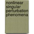 Nonlinear Singular Perturbation Phenomena