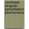 Nonlinear Singular Perturbation Phenomena by K.W. Chang