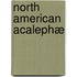 North American Acalephæ