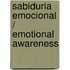 Sabiduria emocional / Emotional Awareness