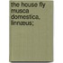 The House Fly Musca Domestica, Linnæus;