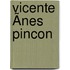 Vicente Ãnes Pincon