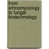 From Ethnomycology To Fungal Biotechnology