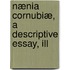 Nænia Cornubiæ, A Descriptive Essay, Ill