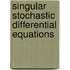 Singular Stochastic Differential Equations