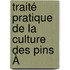 Traité Pratique De La Culture Des Pins À