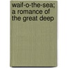 Waif-O-The-Sea; A Romance of the Great Deep by Ll D. Cyrus Townsend Brady