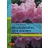 Das grosse Buch der Rhododendren und Azaleen