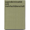 Jugendkriminalität und Mehrfachtäterschaft door Oliver Fähnrich