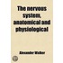 Nervous System, Anatomical And Physiological