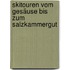 Skitouren vom Gesäuse bis zum Salzkammergut