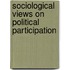 Sociological Views on Political Participation