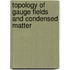 Topology of Gauge Fields and Condensed Matter