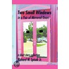 Two Small Windows In A Pair Of Mirrored Doors by Richard W. Jr. Spisak