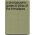 A Photographic Guide To Birds Of The Himalayas