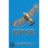 A Photographic Guide To North American Raptors door William S. Clark