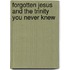 Forgotten Jesus And The Trinity You Never Knew