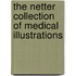 The Netter Collection Of Medical Illustrations