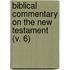 Biblical Commentary On The New Testament (V. 6)
