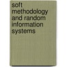 Soft Methodology And Random Information Systems door Przemyslaw Grzegorzewski