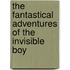 The Fantastical Adventures Of The Invisible Boy