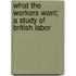 What The Workers Want; A Study Of British Labor