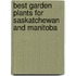Best Garden Plants for Saskatchewan And Manitoba