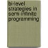 Bi-Level Strategies in Semi-Infinite Programming
