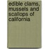 Edible Clams, Mussels and Scallops of California