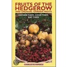 Fruits Of The Hedgerow And Unusual Garden Fruits door Popescu Charlotte