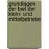 Grundlagen Der Bwl Der Klein- Und Mittelbetriebe
