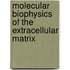 Molecular Biophysics Of The Extracellular Matrix