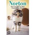 Norton, The Loveable Cat Who Travelled The World