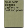 Small-Scale Biomass Gasifiers For Heat And Power door Hubert E. Stassen