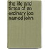The Life and Times of an Ordinary Joe Named John