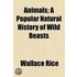 Animals; A Popular Natural History Of Wild Beasts
