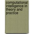Computational Intelligence In Theory And Practice