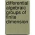Differential Algebraic Groups Of Finite Dimension