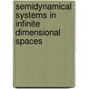 Semidynamical Systems In Infinite Dimensional Spaces by Stephen H. Saperstone