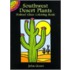 Southwest Desert Plants Stained Glass Colouring Book