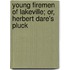Young Firemen of Lakeville; Or, Herbert Dare's Pluck