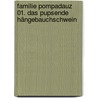 Familie Pompadauz 01. Das pupsende Hängebauchschwein door Franziska Gehm