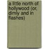A Little North of Hollywood (Or, Dimly and in Flashes)