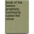 Book of the Twelve Prophets; Commonly Called the Minor