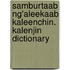 Samburtaab Ng'Aleekaab Kaleenchin. Kalenjin Dictionary
