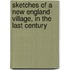 Sketches Of A New England Village, In The Last Century