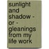 Sunlight And Shadow - Or - Gleanings From My Life Work