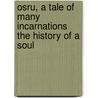 Osru, A Tale Of Many Incarnations The History Of A Soul door Justin Sterns